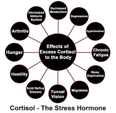 cortisol effects picture
