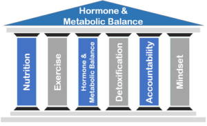 Hormones Metabolic Balance